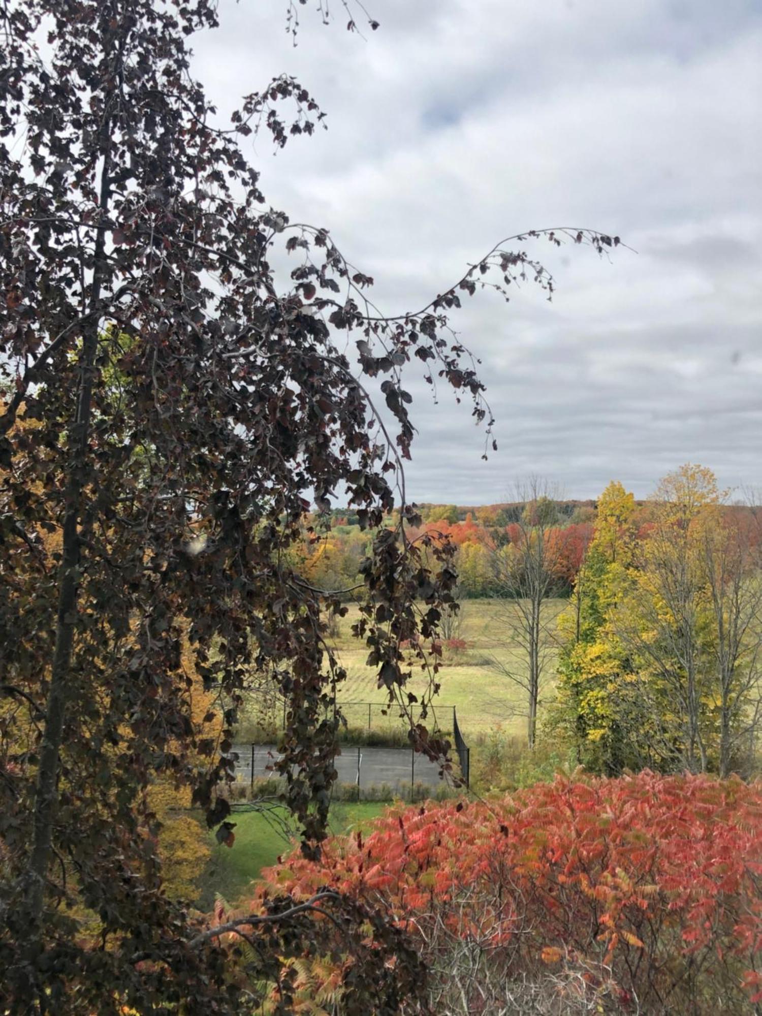 Caledon Manor And Country Inn Exterior photo